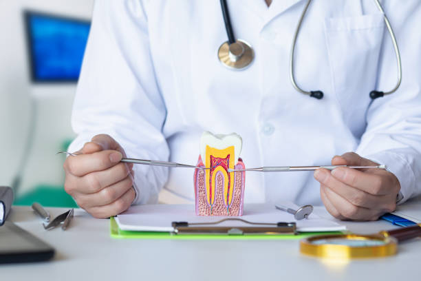 Best Emergency Treatment for Toothache in Manche Village, CA